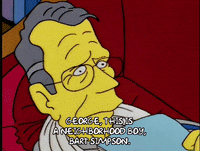 bart simpson episode 13 GIF