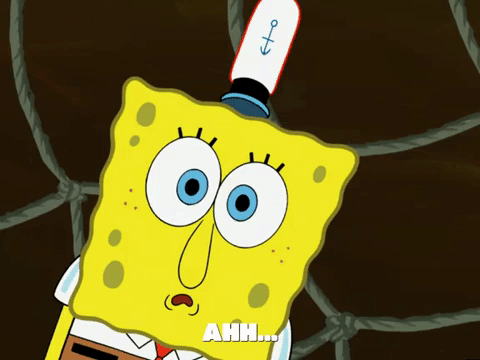 season 5 episode 20 GIF by SpongeBob SquarePants