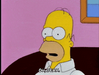 homer simpson GIF