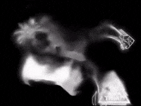 Jjk Jujutsu Kaisen GIF