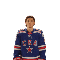 Ice Hockey Fight Sticker by SKA Ice Hockey Club