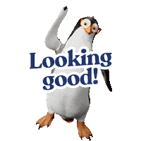 Eyewear Sticker by StantonOptical