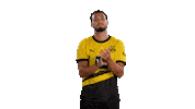 Ramy Bensebaini Football Sticker by Borussia Dortmund