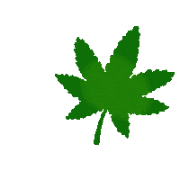 Karol G Flower Sticker