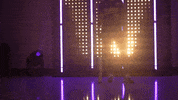 Washington Huskies Softball GIF by NCAA Championships