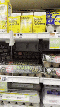 Plant Based Vegan GIF by Jennifer Greenhill