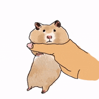 loricute mouse mice loricute GIF