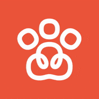 Gudog doggos lovedogs caregivers dogwalking GIF