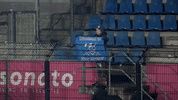 GIF by FOX Sports