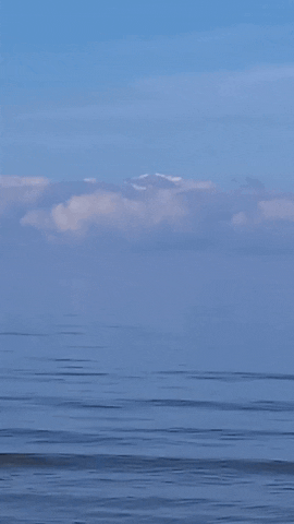 Simongip giphyupload GIF