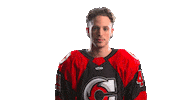 Hockey Echl Sticker by Cincinnati Cyclones