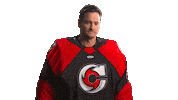 Hockey Echl Sticker by Cincinnati Cyclones