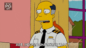Season 19 Episode 6 GIF by The Simpsons