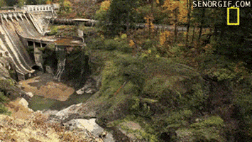 national geographic explosion GIF by Cheezburger