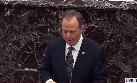 Adam Schiff GIF