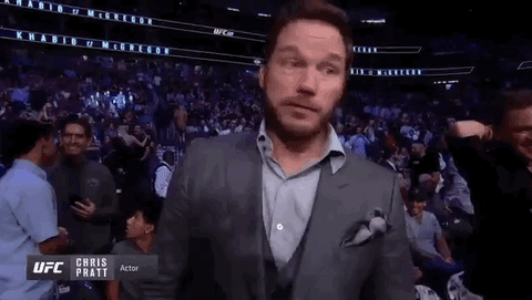 ufc 229 sport GIF by UFC