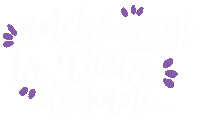 Lettering Diet Sticker