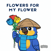 Hi Hi Hello GIF by Feraz NFT