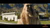 Turn Around Reaction GIF by Regal