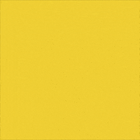 Happy Animation GIF by Emily Suber