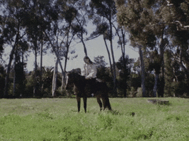 Horse Riding GIF by gracieabrams
