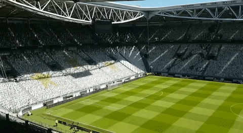 juventusfc giphygifmaker juventus stadium GIF