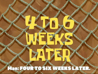 season 4 GIF by SpongeBob SquarePants
