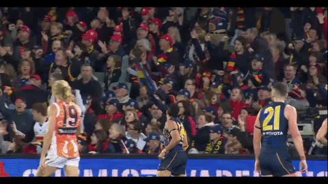 afl GIF by Adelaide Crows