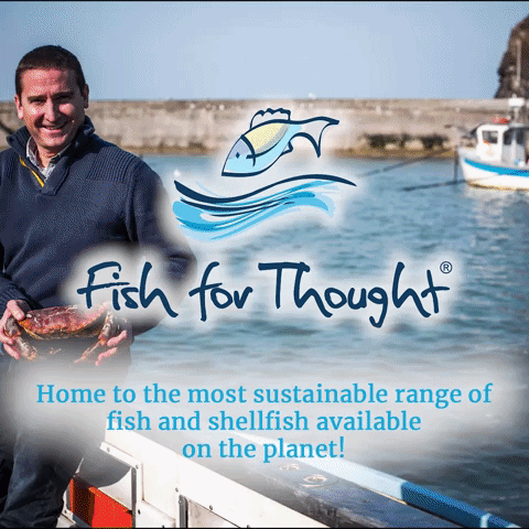 ffttv the seafood revolution GIF by Fish for Thought