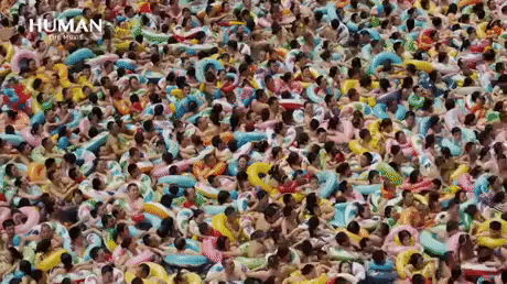 a pool in china GIF