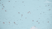 GIF by guardian