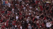 atlanta falcons GIF by NFL