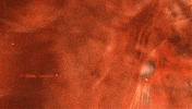 Sunrisers Hyderabad Dynamo GIF