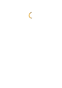 Moon Cat Sticker