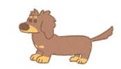 Dachshund Yawn Sticker by eomgogi