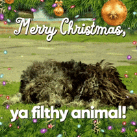 Merry Christmas Dog GIF by Sealed With A GIF