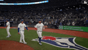 Blue Jays Baseball GIF by Toronto Blue Jays