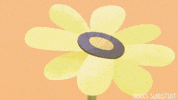 Sundstedt flower green yellow orange GIF
