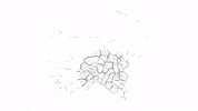 Black And White Vibes GIF by Soccer Mommy