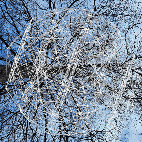 Time Tree GIF by Trevor Anderson