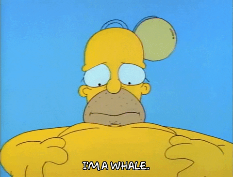 Season 1 Episode 10 GIF by The Simpsons