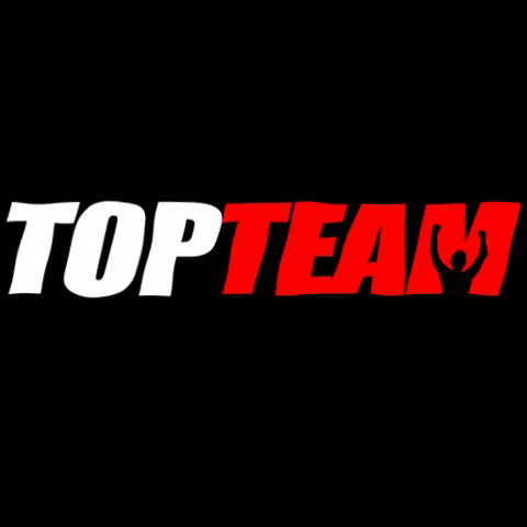 topteamff  GIF
