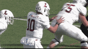 LafayetteLeopards football td lafayette leopards GIF