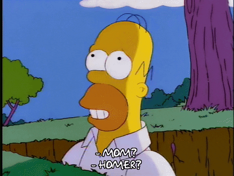 homer simpson GIF