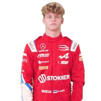 Paul Mercedes Sticker by Prema Team