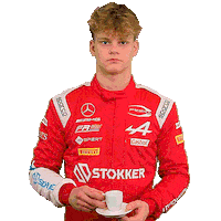 Paul Mercedes Sticker by Prema Team