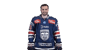Celebration Goal Sticker by Fehervar AV19
