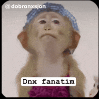 Monkey GIF
