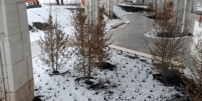 the bentway skate trail GIF