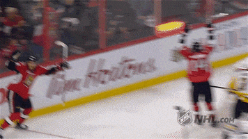 ottawa senators goal GIF by NHL